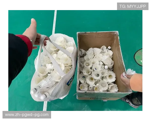 重庆 羽毛球用品