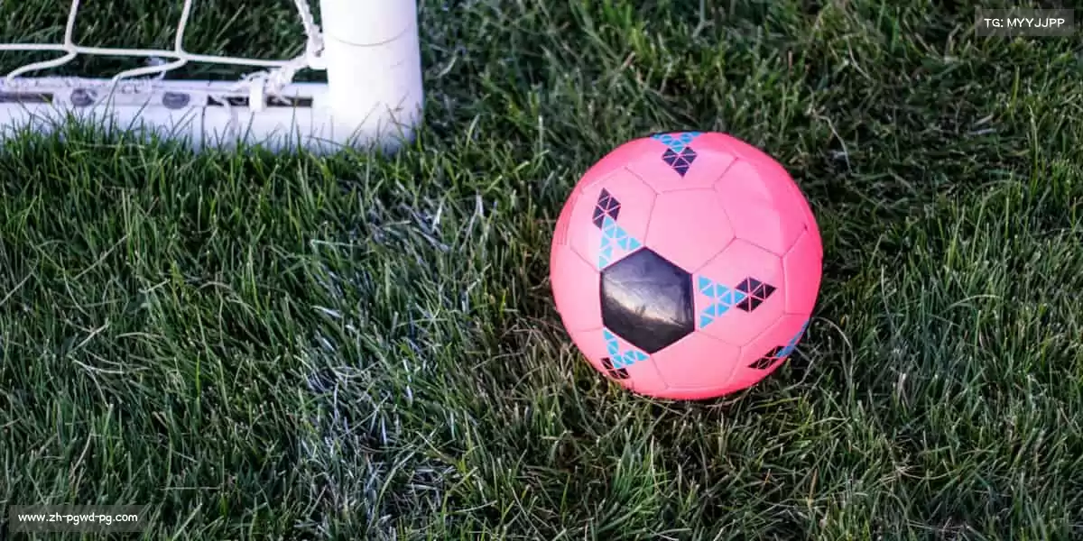 pg电子娱乐官网——以运动之名，筑健康体魄！🏋️‍♀️